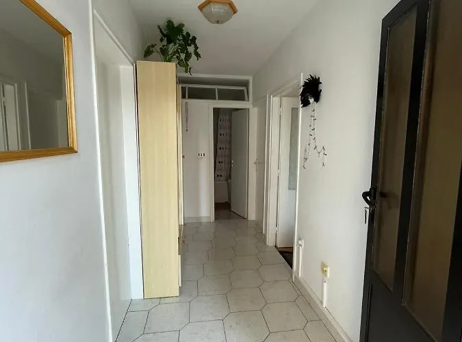 Renata * ツリクヴェニツァ